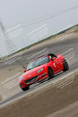 media/Jul-31-2022-Speed Ventures (Sun) [[bfb4b6530b]]/Black Group/Grapevine/